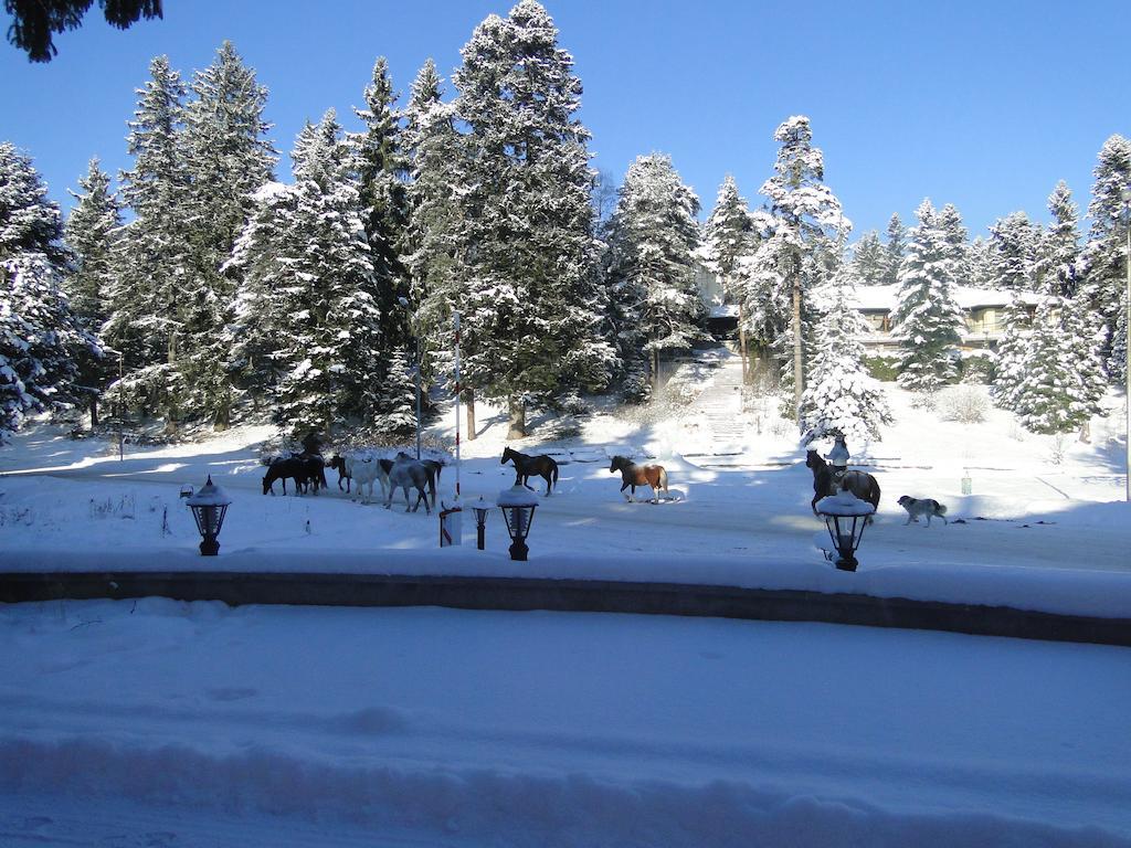 Villa Ibar Borovets Eksteriør bilde